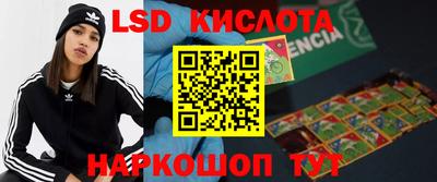 молекула духа Новокубанск