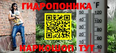 амфетамин Новозыбков