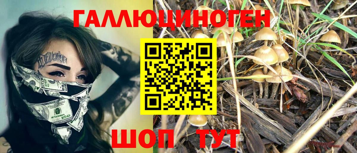 Псилоцибиновые грибы Magic Shrooms  Вход с VPN  Псилоцибиновые грибы Psilocybine cubensis  Узловая 